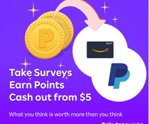 Rakuten Insight